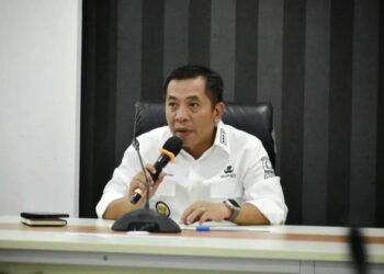 Deis Berpeluang Dampingi Aep di Pilkada Karawang 2024