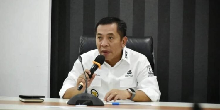 Deis Berpeluang Dampingi Aep di Pilkada Karawang 2024