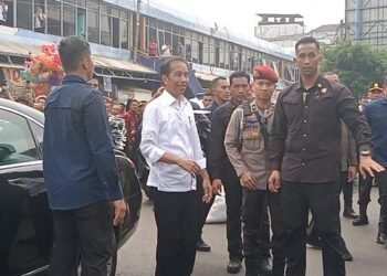 Presiden Jokowi Resmikan Model Kawasan Tambak Budi Daya Ikan Nila