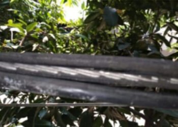 Bisa Membahayakan, Kabel PLN di Fasum Blok F Bumi Teluk Jambe Harus Segera di Perbaiki