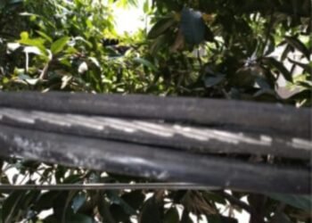 Sudah Lama  Dibiarkan ,Warga Perumnas Minta  PLN Segera Perbaiki KabelTerkelupas Di Area Fasum