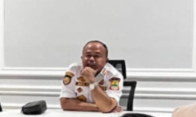 Jalan Kabupaten Terancam Rusak Akibat Dishub Karawang Hanya Andalkan Rambu dan CCTV E Tilang