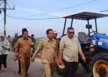 Bupati Karawang Dampingi Monev  Dirjen PSP Kementan  Ke Desa Kutawargi Rawamerta