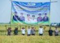 Gebyar Panen Raya Bupati Karawang Aep Syaepuloh Apresiasi Kerja Keras Petani Cilamaya