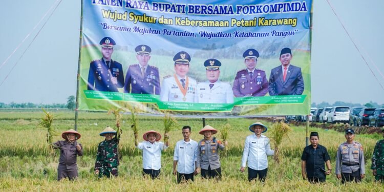 Gebyar Panen Raya Bupati Karawang Aep Syaepuloh Apresiasi Kerja Keras Petani Cilamaya